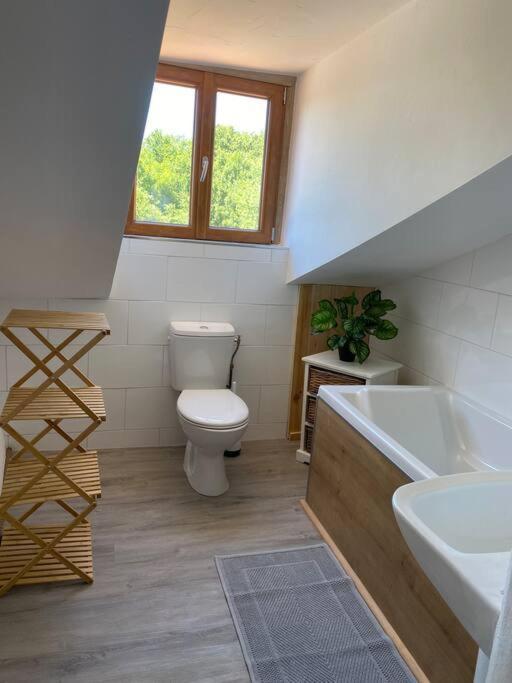 Spacious 1 Bed Home With Shared Pool Champagnac-la-Rivière Zewnętrze zdjęcie